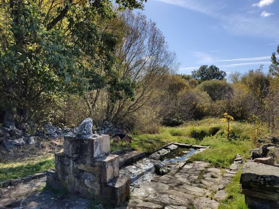 Casa Rural Tozolosolobos Otero de Bodos Extérieur photo